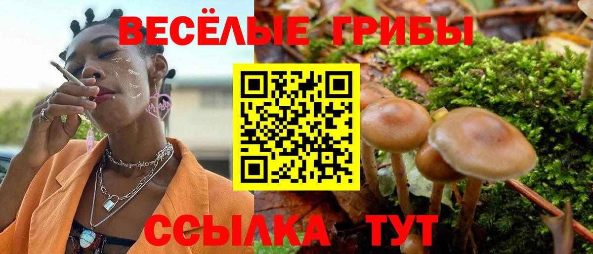 Псилоцибиновые грибы GOLDEN TEACHER Кизилюрт