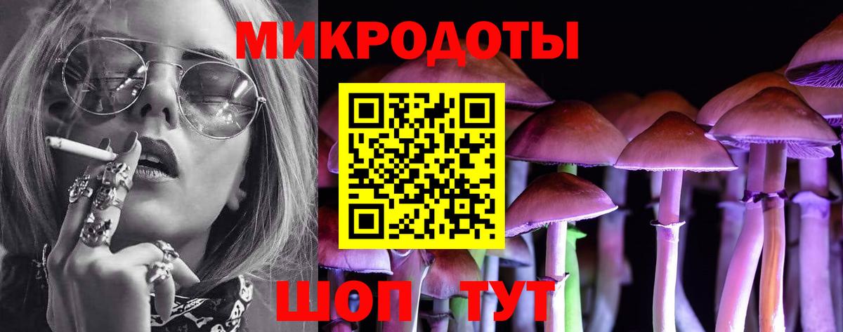 Псилоцибиновые грибы Psilocybe  Вход с VPN  купить наркотик  Псилоцибиновые грибы мухоморы  Кизилюрт 